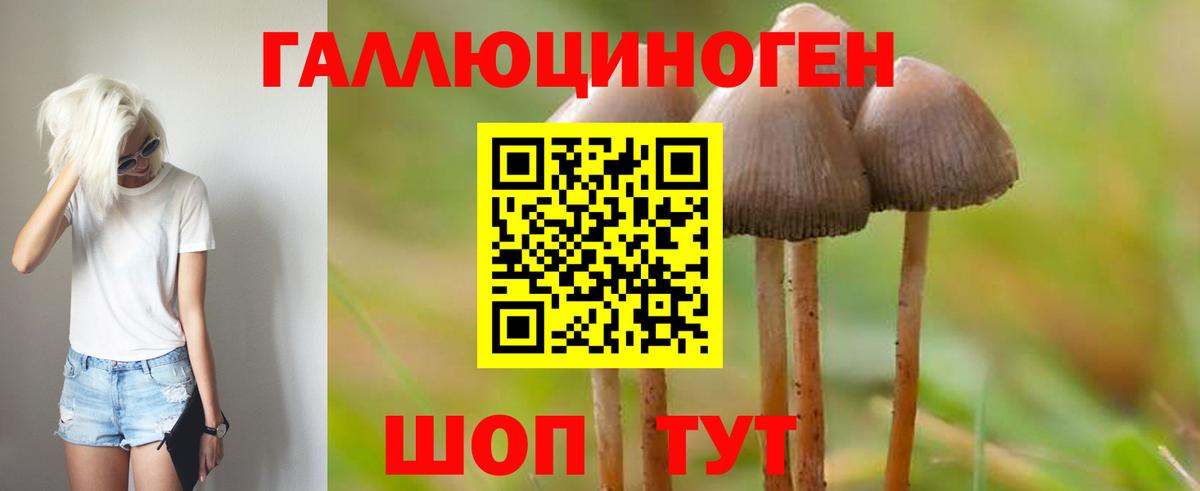 Апатиты  Галлюциногенные грибы MAGIC MUSHROOMS  Вход с VPN 